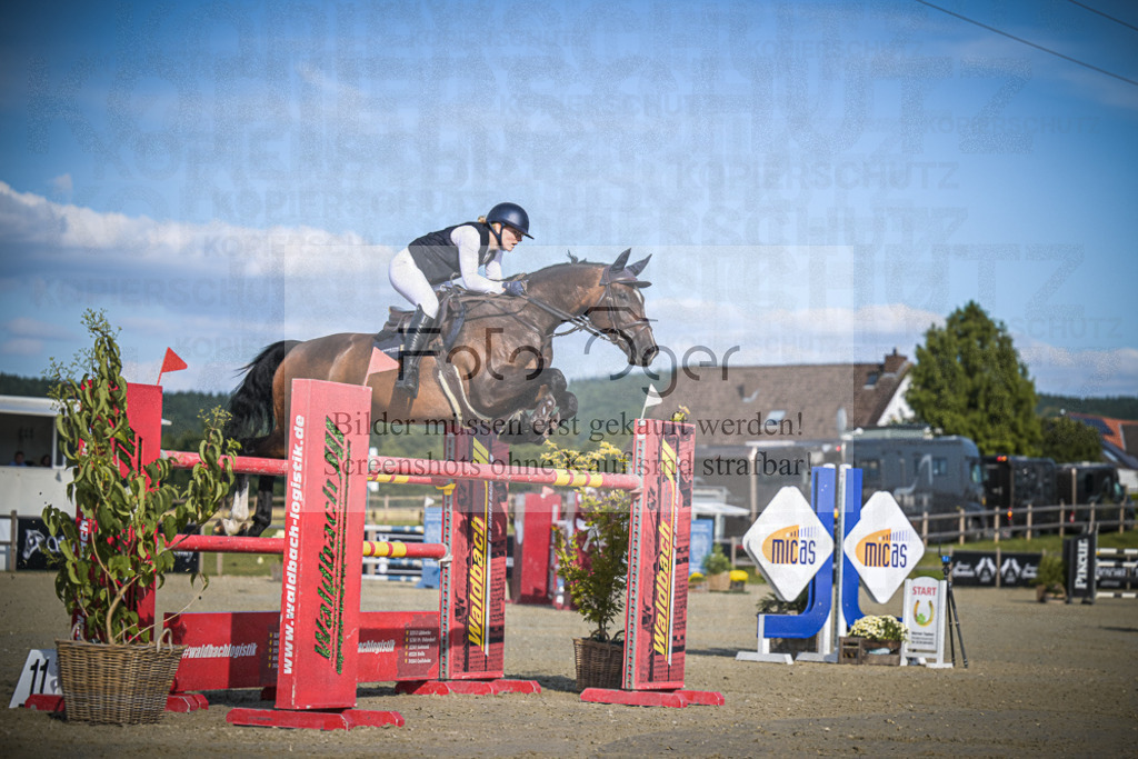 DOS_2034 | Entdecke hochwertige Reitturnierfotos von Foto Oger. Professionell, emotional und authentisch – jetzt Lieblingsmomente im Shop bestellen.Deutschlandweite Turnierfotografie. - Realisiert mit Pictrs.com