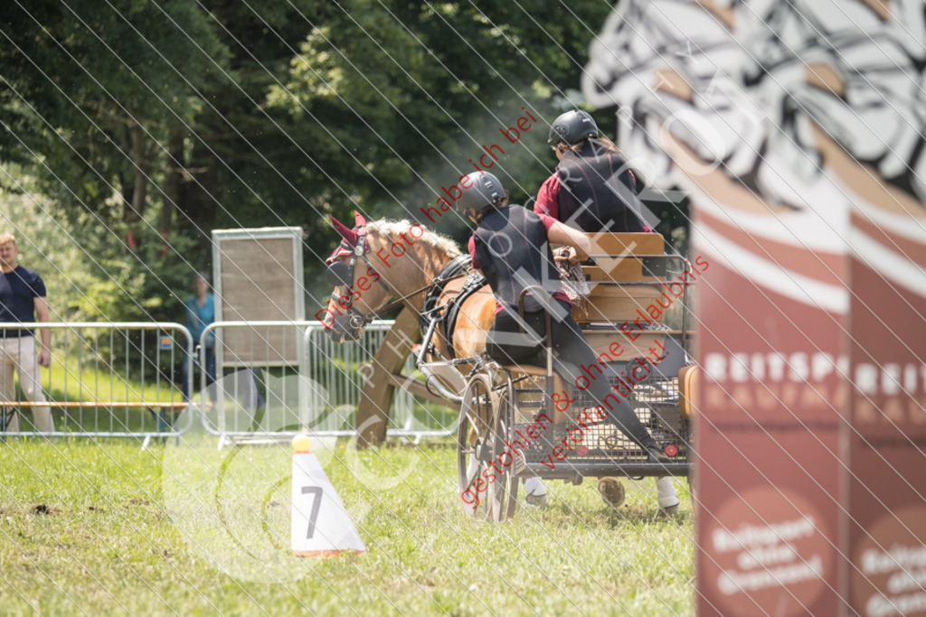 IMG_8512 | Sport-, Event- und Tierfotos in Profiqualität. Einfach auswählen, bestellen und herunterladen. Dein Moment – perfekt festgehalten.