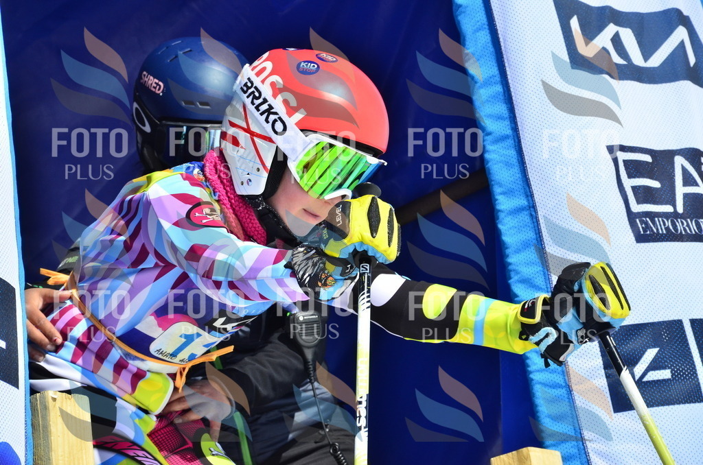 _ELE0880 | holidayphoto