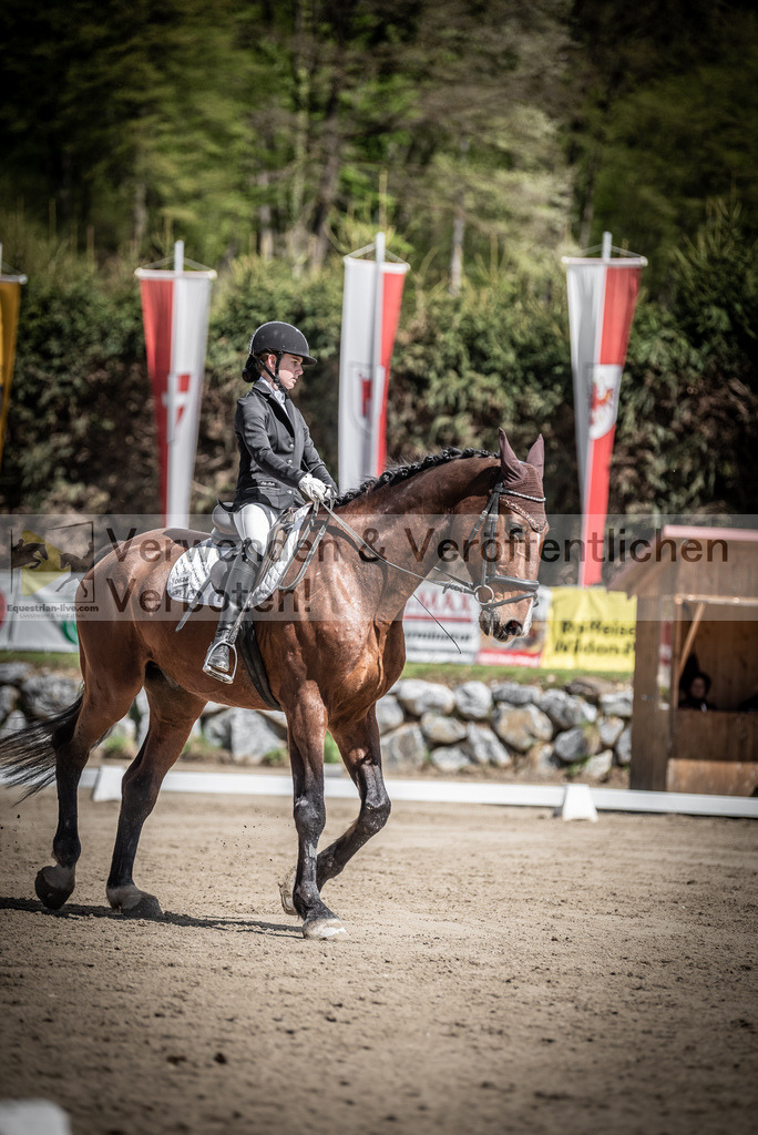 DSC_9866 | equestrian-live-com