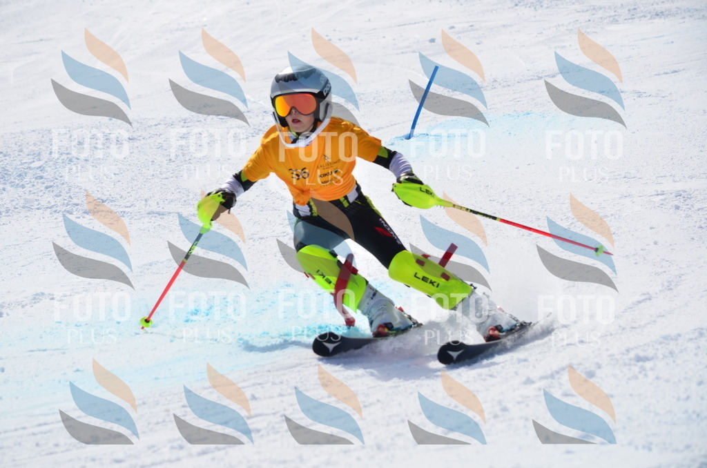 C9825 | holidayphoto