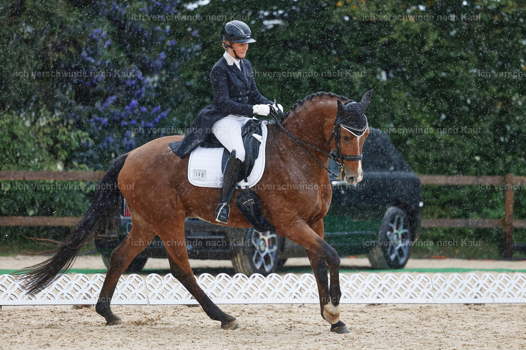 8_2-149-DRESSUR S_  -StoibPH-4480 | working equitationturnier fotograf videograf stoibphotography marixx film working equitation deutschland reitsport turnierfotografie eventfotografie equestrian events