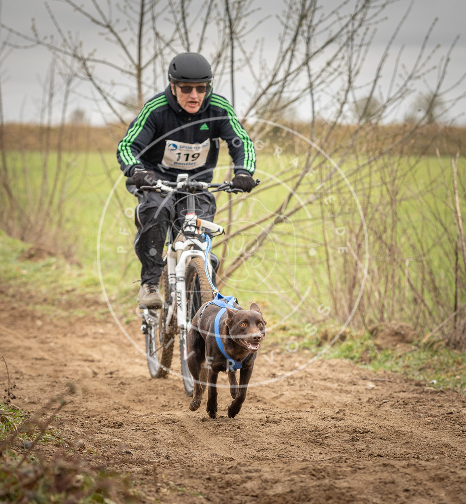 DV3A0895 | Hundefotografie, Tierfotograf, Pfotenfotografie, Fotoshooting Hund, Hunde Portrait, Hundesport, Hundeportraits, Heideshooting, Hunde, Sportfotograf, Hundefotograf, Turnierhundsport, THS,  - Realisiert mit Pictrs.com