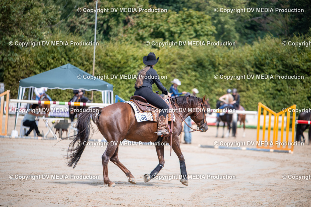 ZS3_5437 | dv-media-shop - Realisiert mit Pictrs.com