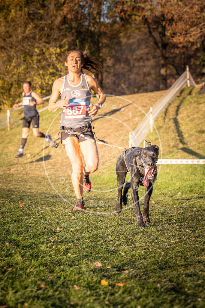 CaniXpix_0L8A1227 | Hundefotografie, Tierfotograf, Pfotenfotografie, Fotoshooting Hund, Hunde Portrait, Hundesport, Hundeportraits, Heideshooting, Hunde, Sportfotograf, Hundefotograf, Turnierhundsport, THS,  - Realisiert mit Pictrs.com