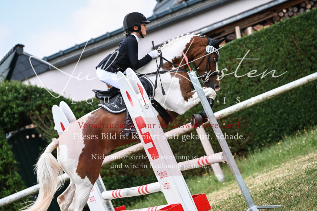 DSC_8559 | Pferde- und Turnierfotografie in Westsachsen. Pferdeportraits, Auftragszeichnungen und intuitive Kunst.