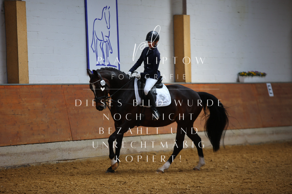 IMGT4038 | pl-fotografie