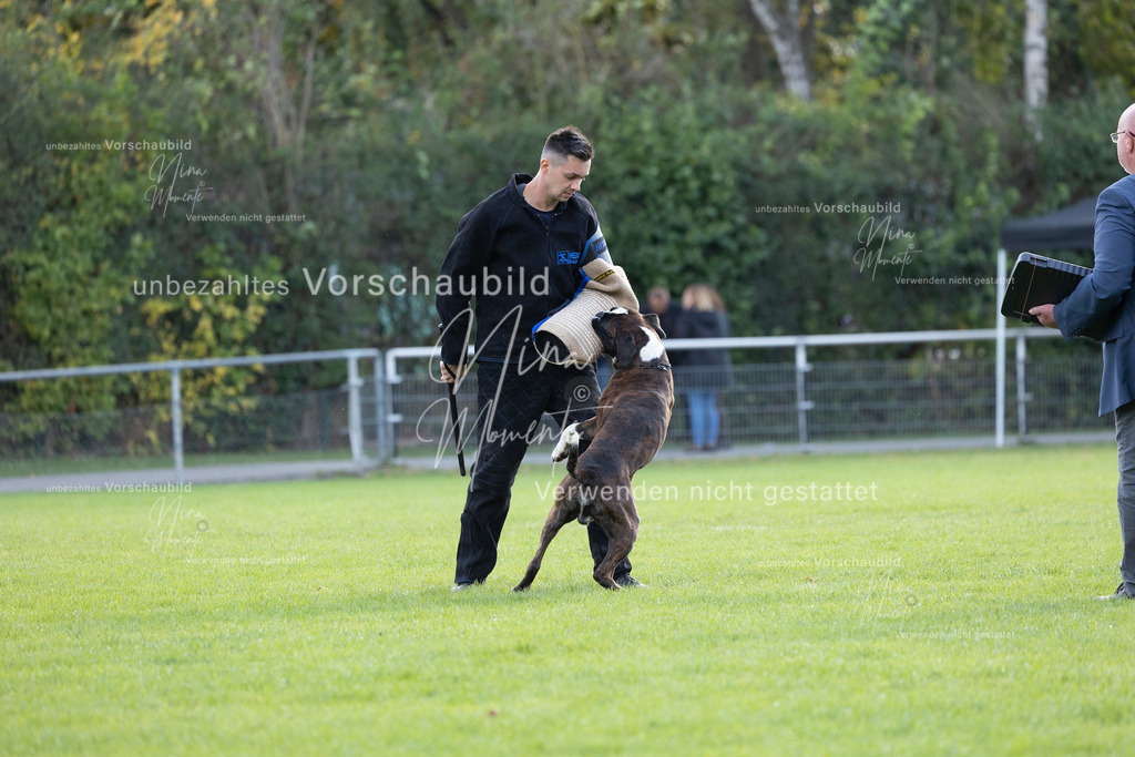 _16A6501 | Einzigartige Fotos von Hunden & Menschen –Actionfotos, Portraits, Vereinsaufnahmen & Paarshootings – authentisch, lebendig & mit Herz.