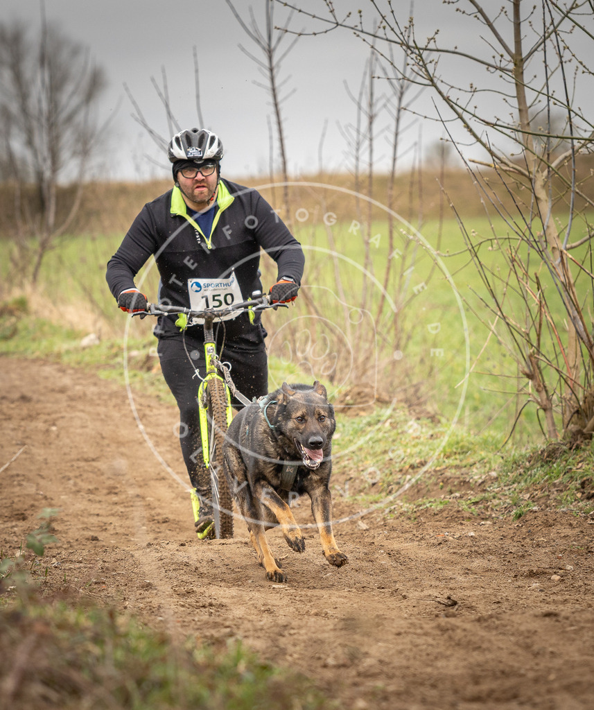 DV3A1523 | Hundefotografie, Tierfotograf, Pfotenfotografie, Fotoshooting Hund, Hunde Portrait, Hundesport, Hundeportraits, Heideshooting, Hunde, Sportfotograf, Hundefotograf, Turnierhundsport, THS,  - Realisiert mit Pictrs.com