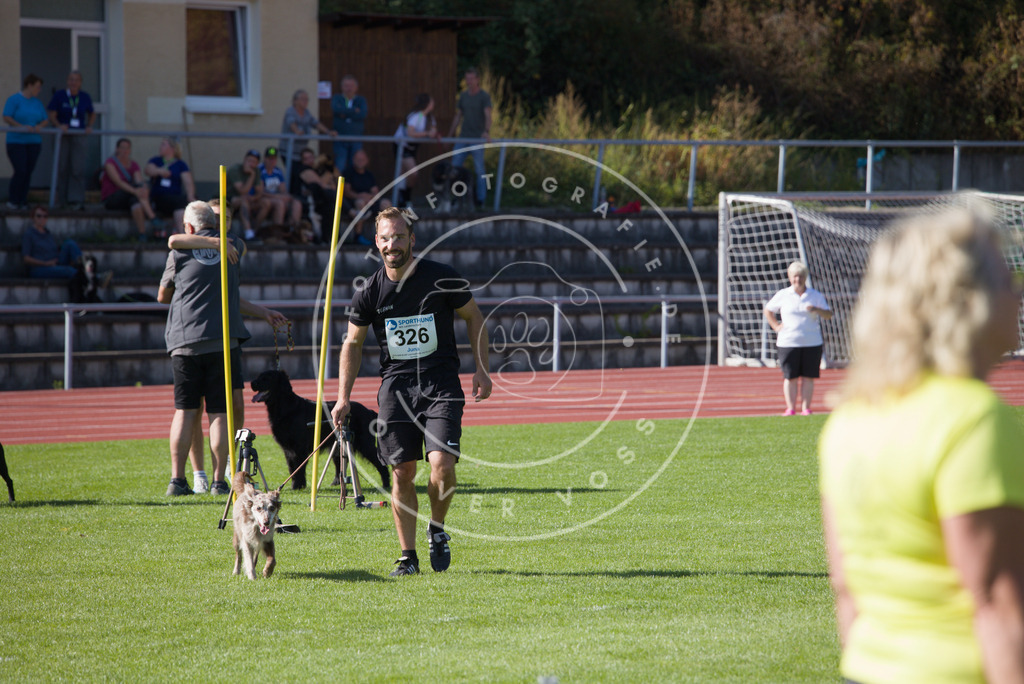 0L8A8830 | Hundefotografie, Tierfotograf, Pfotenfotografie, Fotoshooting Hund, Hunde Portrait, Hundesport, Hundeportraits, Heideshooting, Hunde, Sportfotograf, Hundefotograf, Turnierhundsport, THS,  - Realisiert mit Pictrs.com