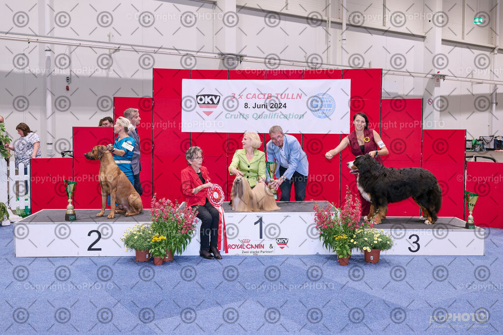 202406_ÖKV-IHA-Tulln24_NZ9_8833 | proPHOTO - Realisiert mit Pictrs.com