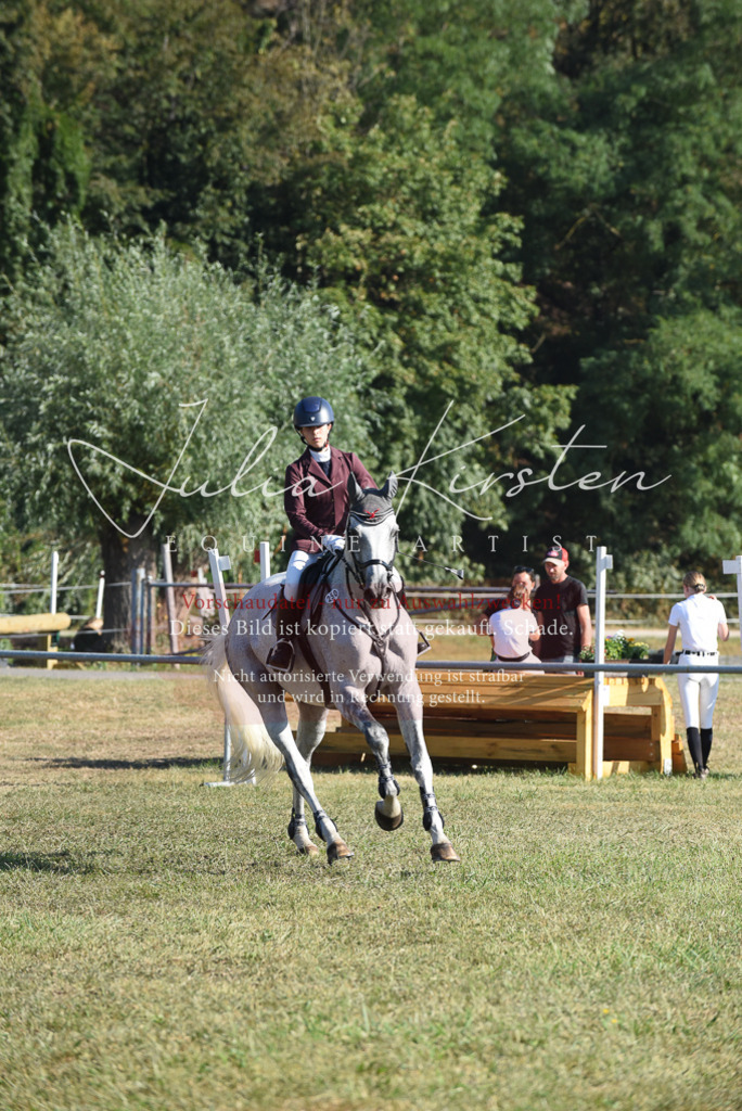 DSC_5255 | Pferde- und Turnierfotografie in Westsachsen. Pferdeportraits, Auftragszeichnungen und intuitive Kunst.