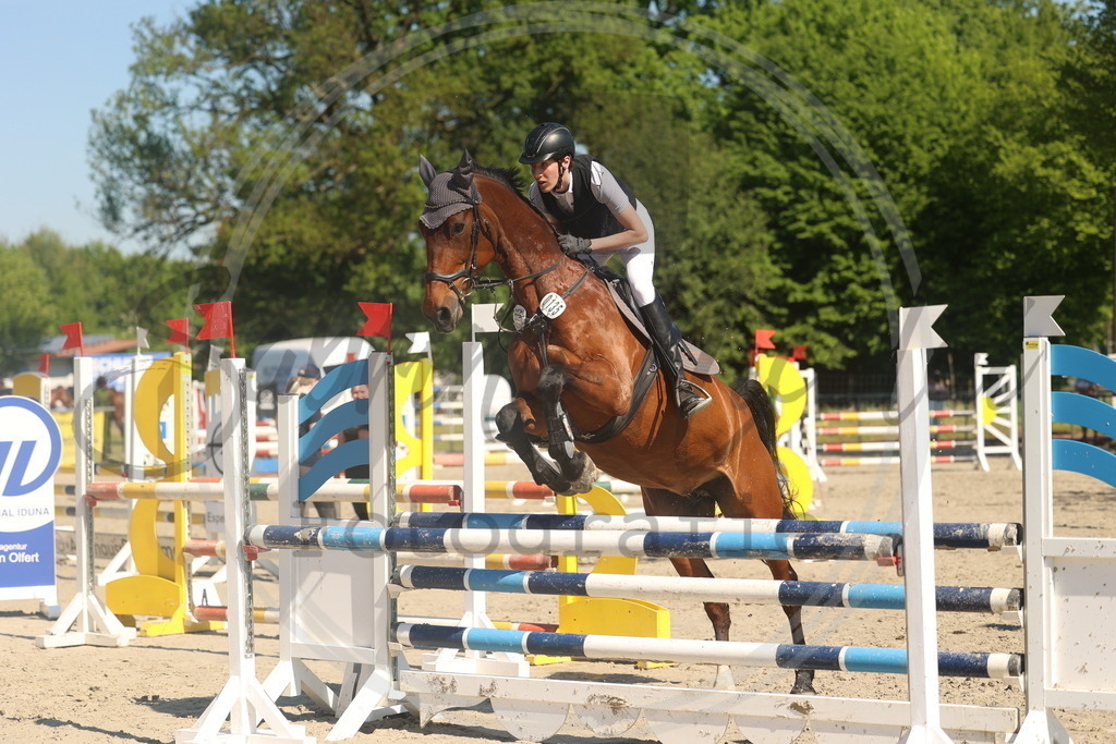 994A6045 | sabrinanicolaifotografie - Realisiert mit Pictrs.com