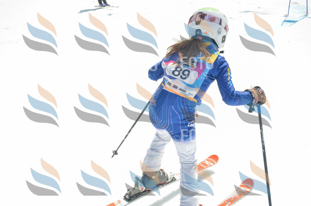 _ELE5660 | holidayphoto