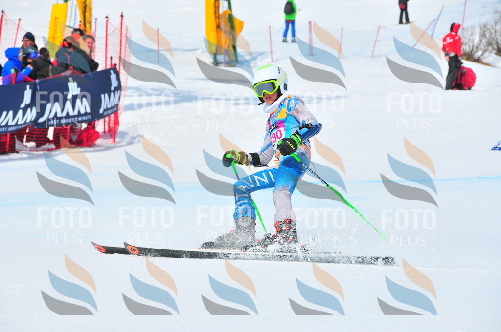 DSC_5871 | holidayphoto