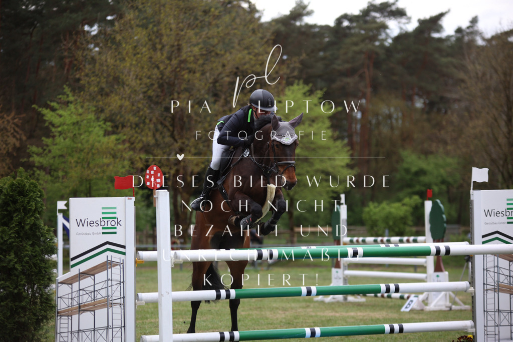 IMGT1756 | pl-fotografie