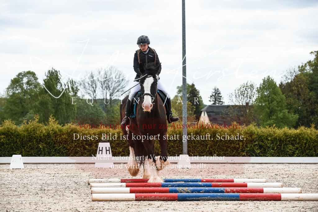 20230518_JK-Röhrsdorf-10-364 | Pferde- und Turnierfotografie in Westsachsen. Pferdeportraits, Auftragszeichnungen und intuitive Kunst.