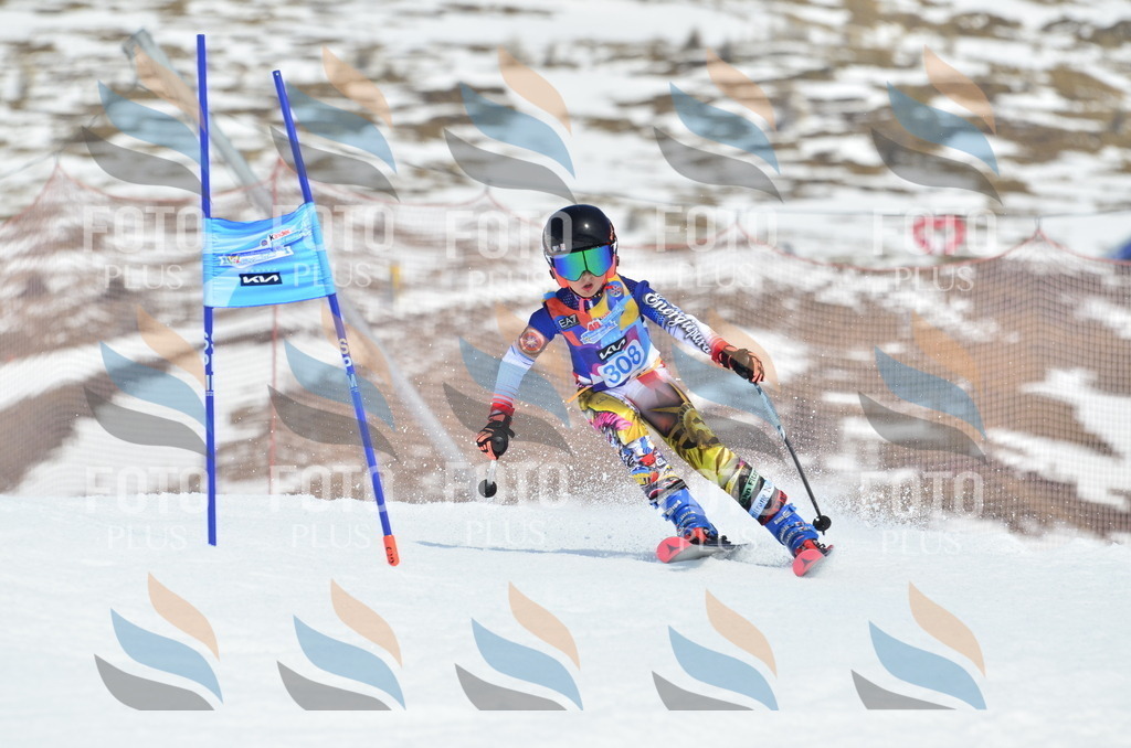 _ELE2291 | holidayphoto