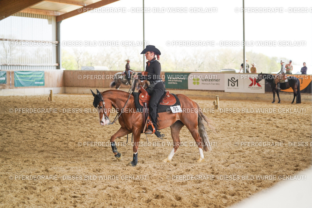 DSC02008 | Pferdegrafie