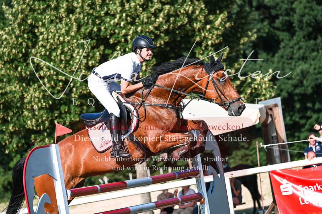 DSC_2668 | Pferde- und Turnierfotografie in Westsachsen. Pferdeportraits, Auftragszeichnungen und intuitive Kunst.