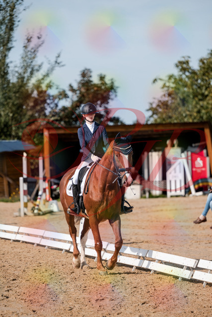 2026_10_03_Siefer-Hof_123654_Z63_54497649 | Professionelle Reitsport-, Turnier- und Eventfotografie von Robert Broda. Galerien mit ausgewählten und bearbeiteten Bildern direkt online ansehen und bestellen.