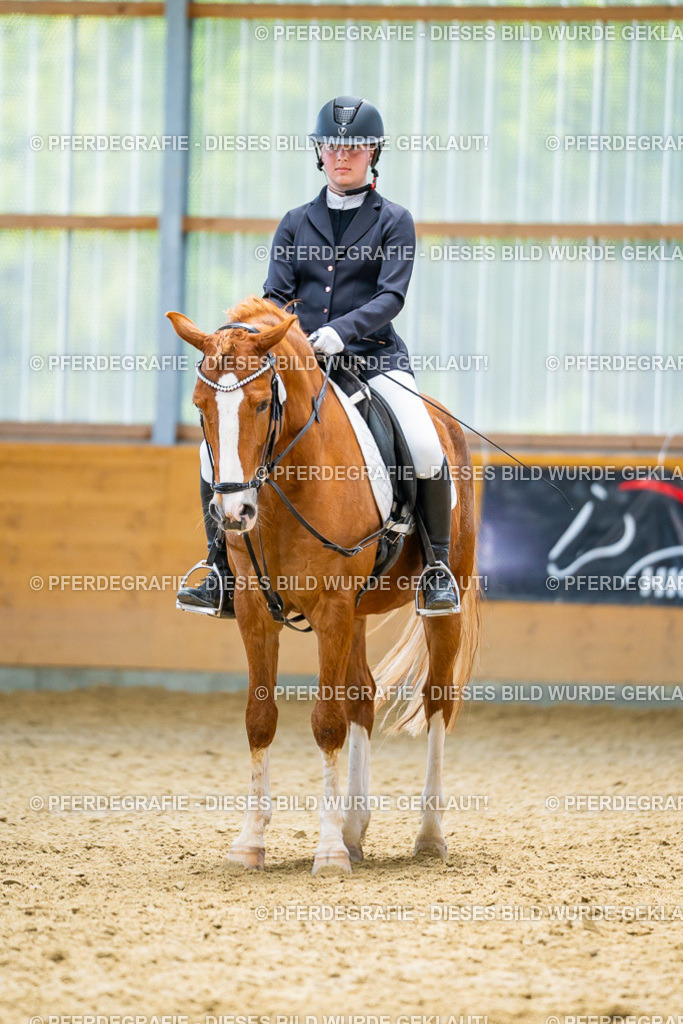 DSC09579 | Pferdegrafie