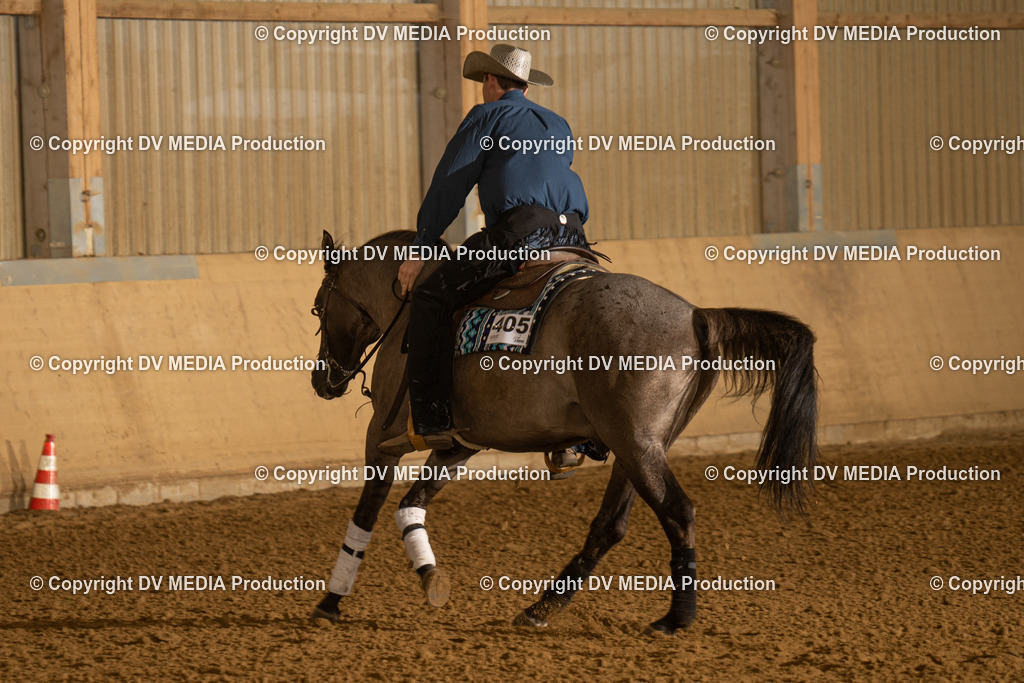 LAU00165 | dv-media-shop - Realisiert mit Pictrs.com