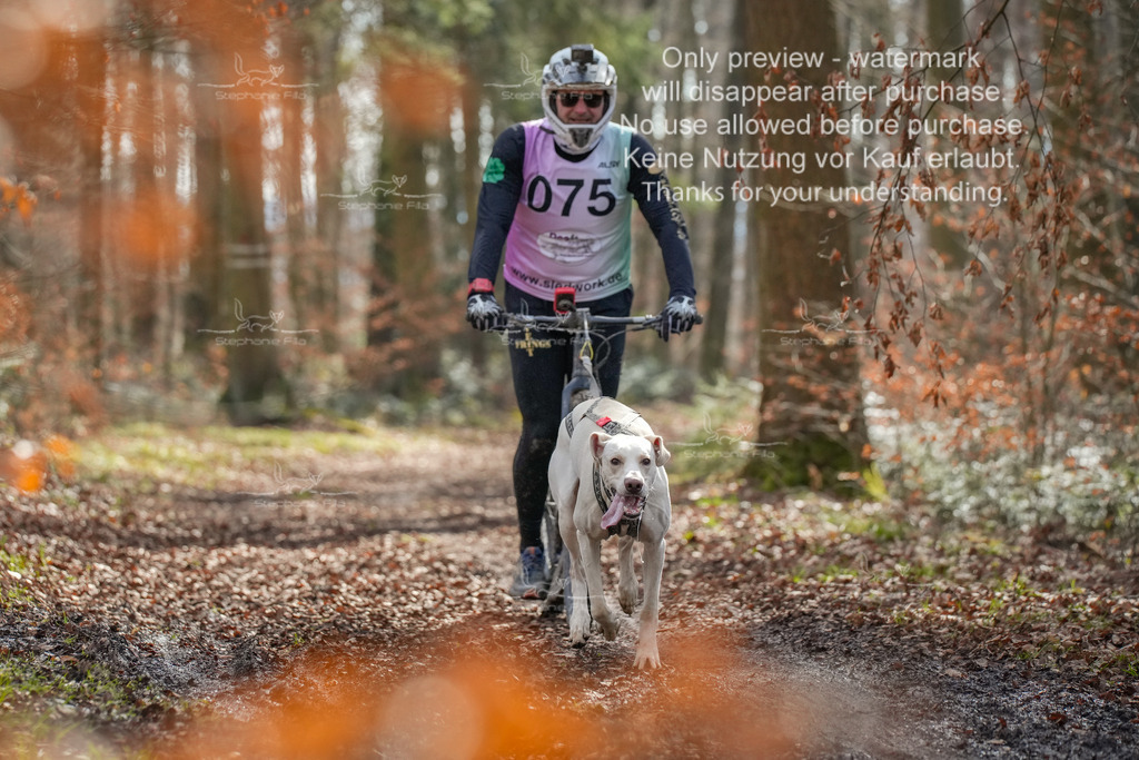 So_Scooter1-109 | stephaniefillaphotographie - Realisiert mit Pictrs.com