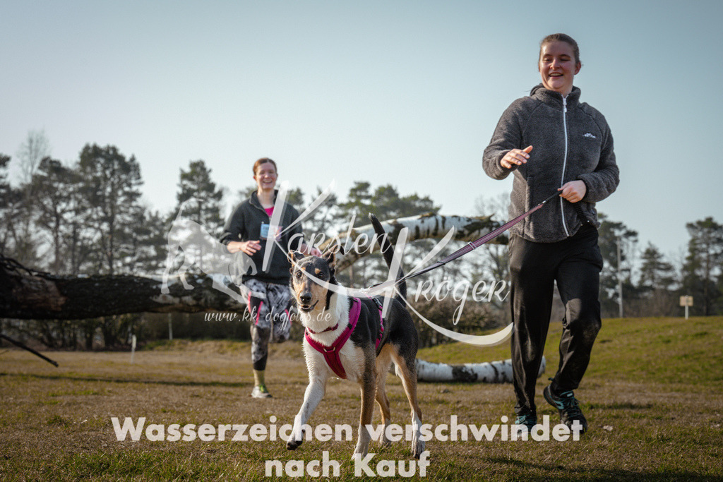 0943_ZZ99796 | kk-dogfotos