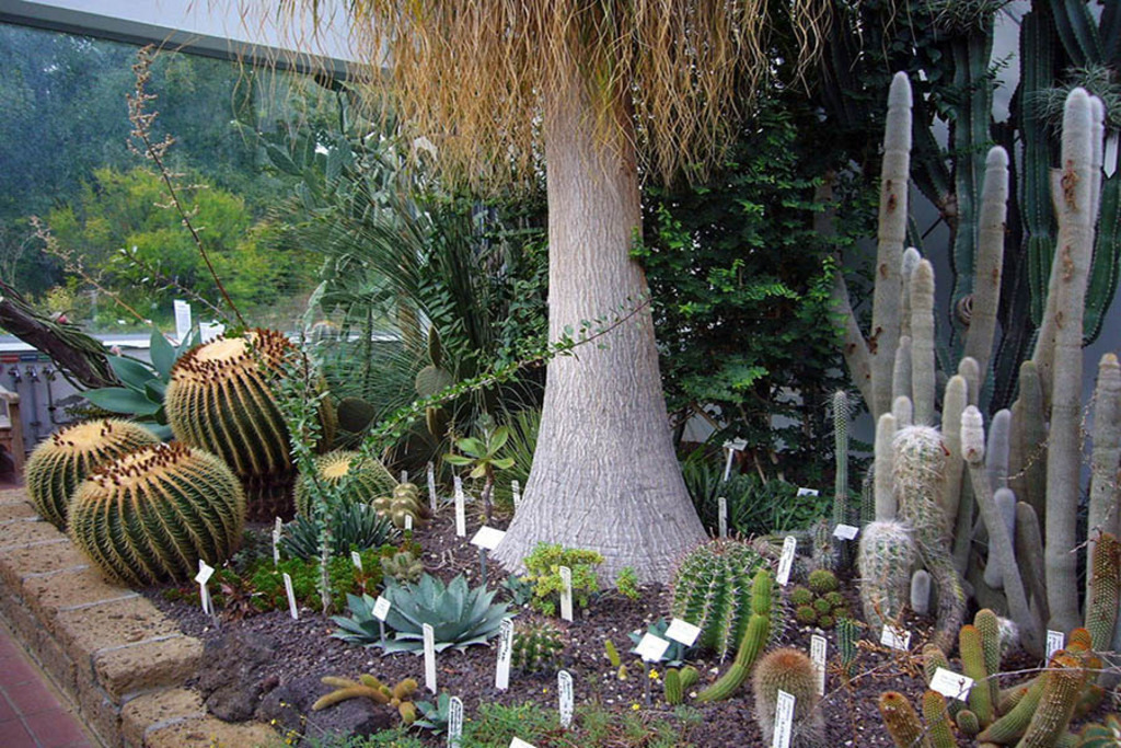 Bildlexikon Leipzig - Botanischer Garten der Universität Leipzig | Das Team hinter BILDLEXIKON LEIPZIG bündelt historische wie aktuelle Informationen über die Stadt Leipzig in Text und Bild auf einer Plattform und stellt diese der interessierten Öffentlichkeit zur Verfügung.