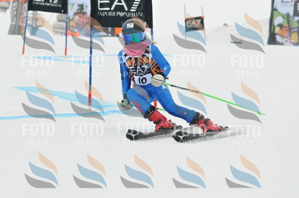 DSC_7389 | holidayphoto