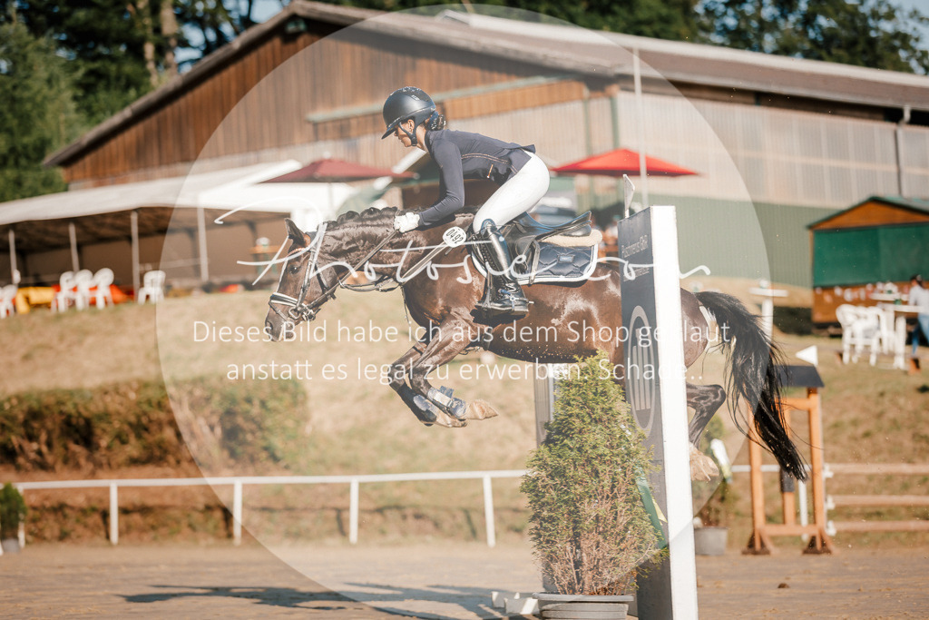3I6A6134 | Stimmungsvolle Portraits und Reitsportfotografie im Ruhrgebiet und im Münsterland.

Pferdefotografie, Hundefotografie, Tierfotografie, Reportagen, Portraits von Tier und Mensch, Turnierfotografie in Bochum, Recklinghausen, Marl, Haltern am See, Dülmen.. - Realisiert mit Pictrs.com