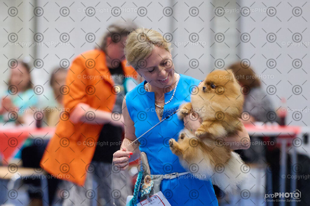 202406_ÖKV-IHA-Tulln24_DSC_3059 | proPHOTO - Realisiert mit Pictrs.com