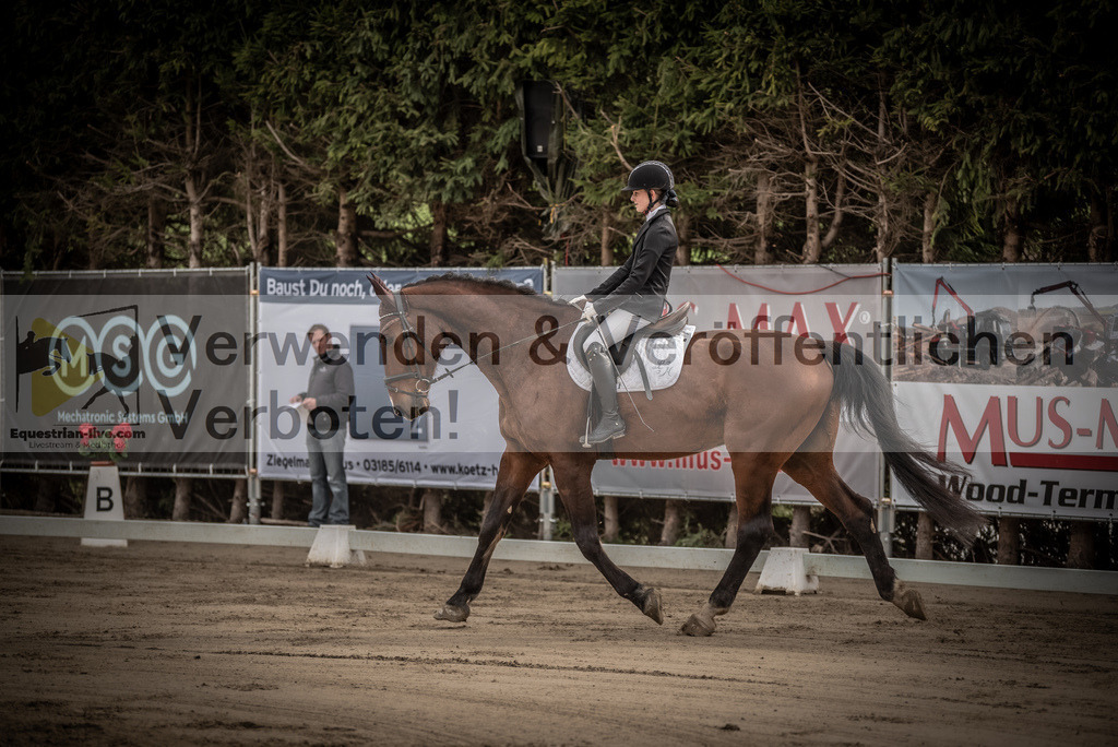 DSC_8252 | equestrian-live-com