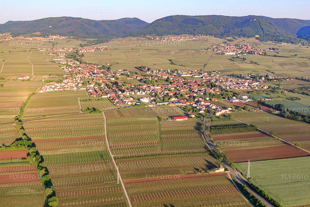 Luftbild: Stadtansicht am Morgen aus Osten in Edesheim im Bundesland Rheinland-Pfalz in Deutschland. Foto: IMG_64610.jpg vom 04.05.2014 durch Werner Riehm/FLY-FOTO.de