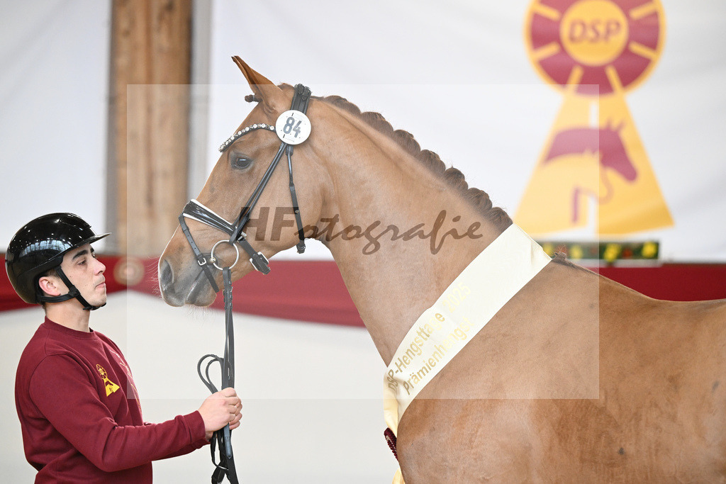 Kat.-Nr. 84 v. Vaderland_van den Oetelaar_2251953 | hf-fotografie - Realisiert mit Pictrs.com