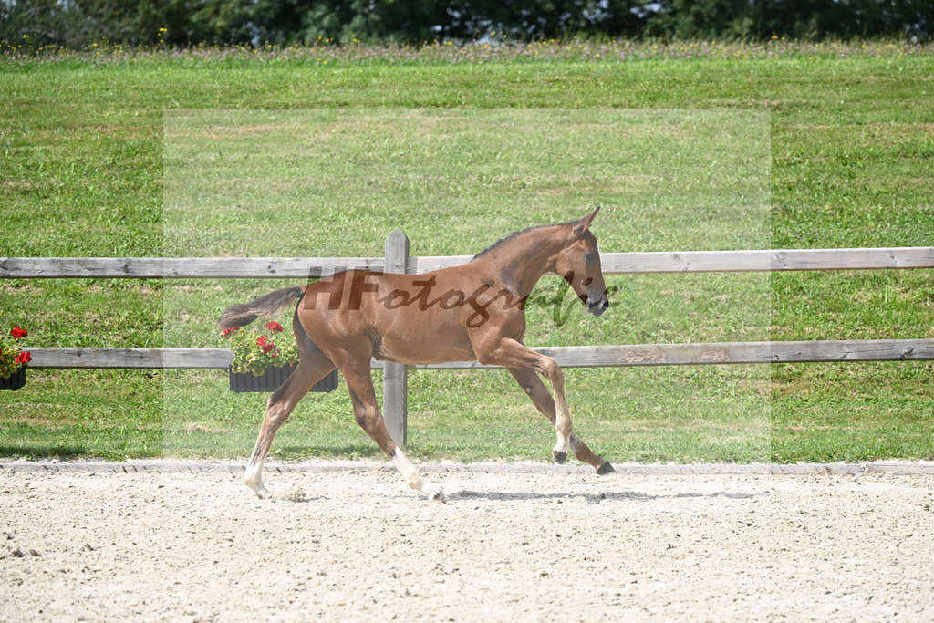 Kannan x Colman_SF_Halama_29240408 | hf-fotografie - Realisiert mit Pictrs.com