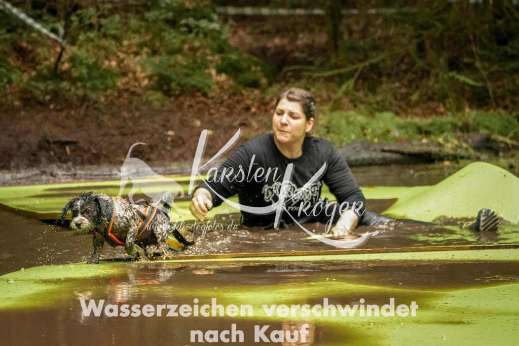 1216_ZZ93562-Bearbeitet | kk-dogfotos