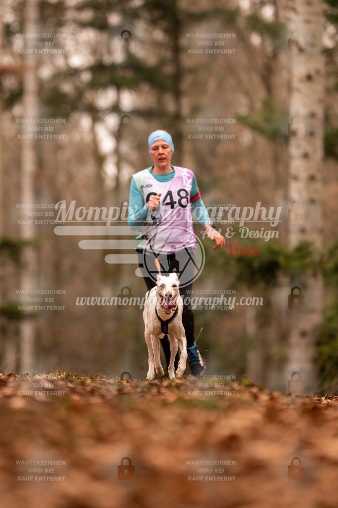 AKM_ST_2023_SAM_Run-114 | PayLife