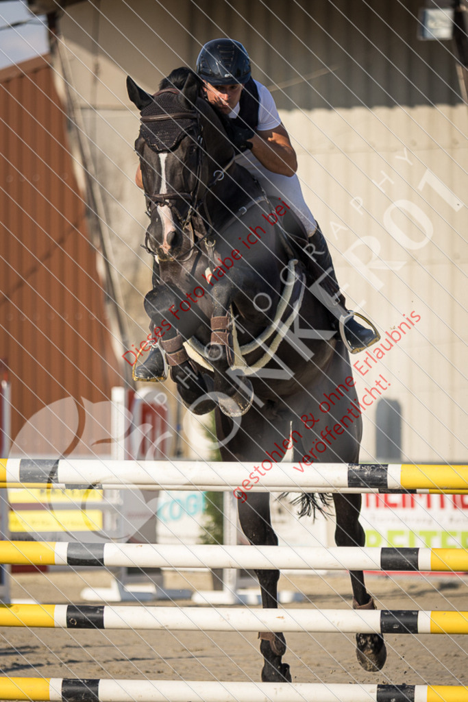 IMG_7945 | Sport-, Event- und Tierfotos in Profiqualität. Einfach auswählen, bestellen und herunterladen. Dein Moment – perfekt festgehalten.