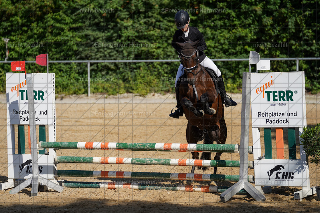 20240824-FAH07355 | Thierhaupten 2024, Bayerisches Landesponyturnier, Turnierbilder, Ponybilder, Turnierfotografen Bayern, Fotoagentur Herrmann