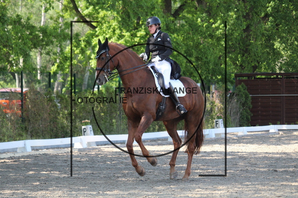 IMG_5145 | franziskalange - Realisiert mit Pictrs.com