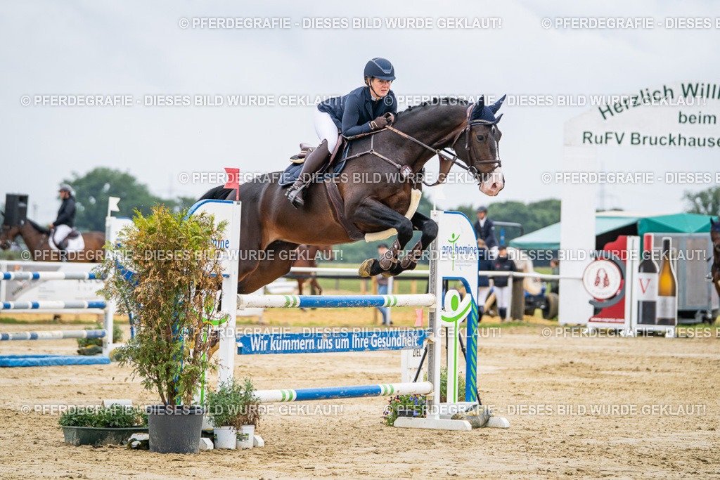 DSC02444 | Pferdegrafie