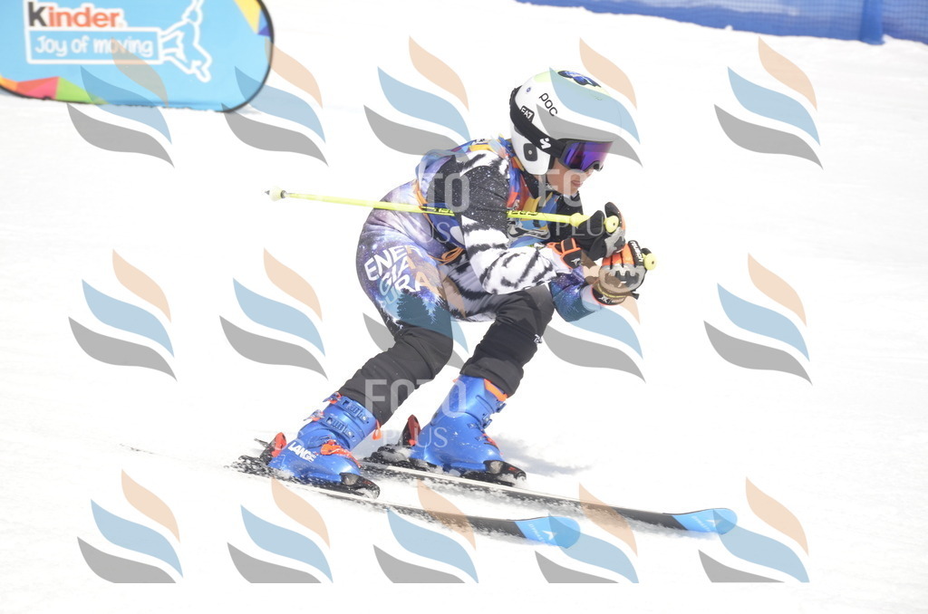 _ELE9013 | holidayphoto