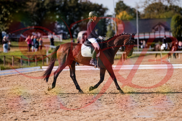 2026_10_03_Siefer-Hof_130220_Z81_56067747 | Professionelle Reitsport-, Turnier- und Eventfotografie von Robert Broda. Galerien mit ausgewählten und bearbeiteten Bildern direkt online ansehen und bestellen.