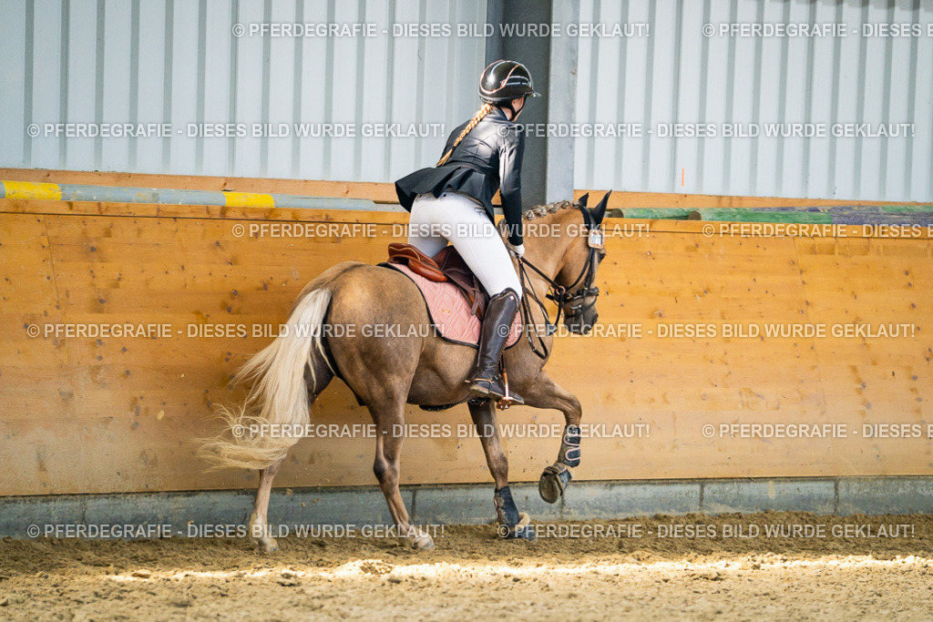 DSC01271 | Pferdegrafie