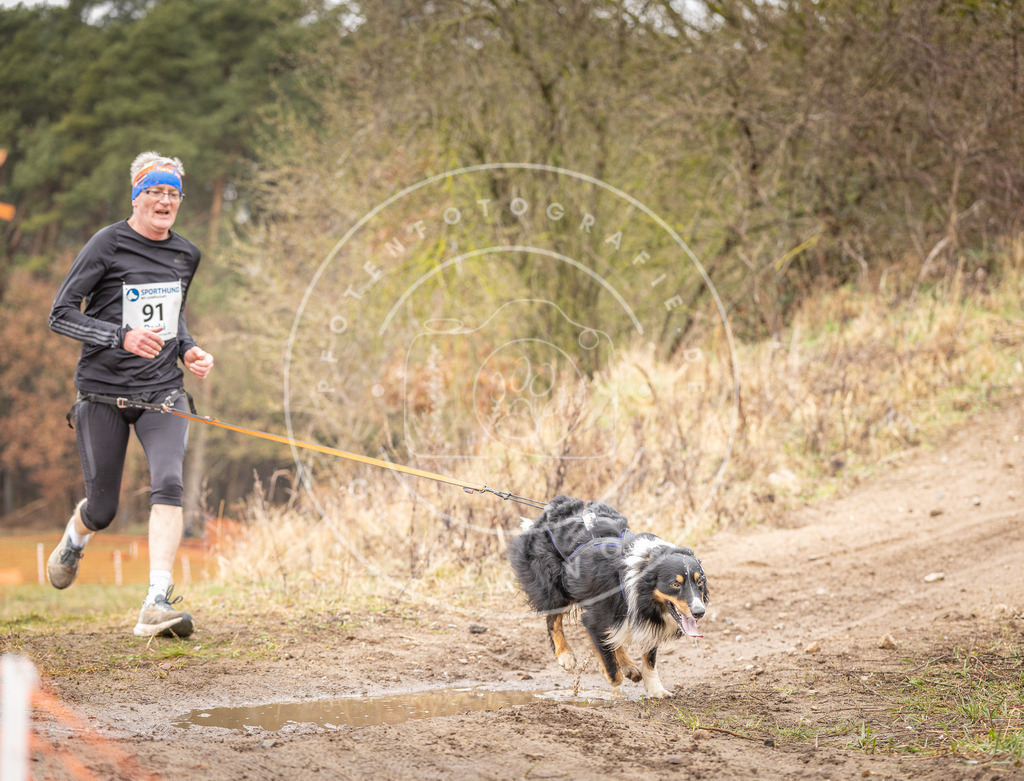 DV3A0449 | Hundefotografie, Tierfotograf, Pfotenfotografie, Fotoshooting Hund, Hunde Portrait, Hundesport, Hundeportraits, Heideshooting, Hunde, Sportfotograf, Hundefotograf, Turnierhundsport, THS,  - Realisiert mit Pictrs.com