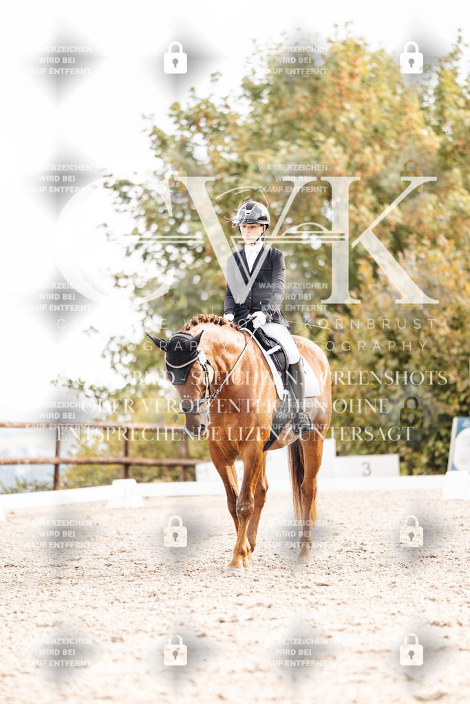 CK900746 | Turnierfotografie Pferdefotografie Trier Rheinland-Pfalz Pferdesport Reitsport Tierfotografie Sportfotografie Pferdevideo Pferdevideografie Equestrianvideography equestrianphotography  - Realisiert mit Pictrs.com