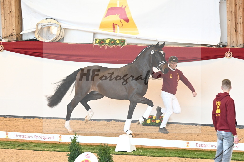 Kat.-Nr. 52 v. Friedrich der Große_Fischer_2240611 | hf-fotografie - Realisiert mit Pictrs.com