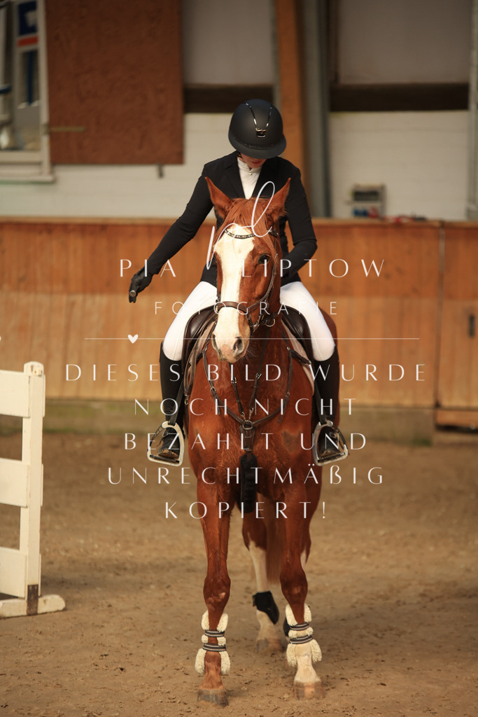 IMGT9590 | pl-fotografie